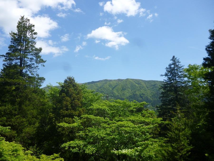 Kaze No Ne Hotel Hakone Exterior foto